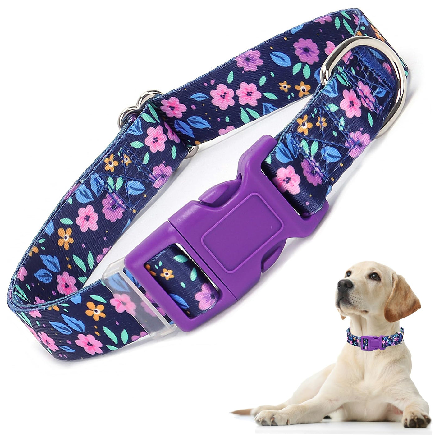 Pet Collars