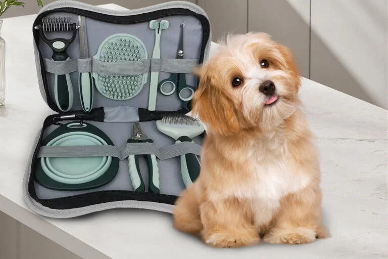 Grooming & Care