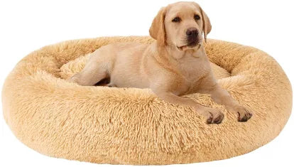 Pet Bed& Furniture