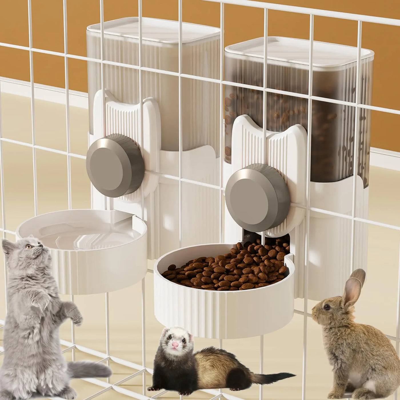 Feeding & Bowls