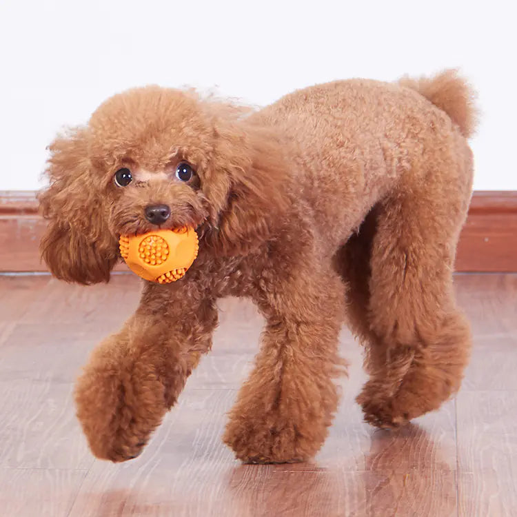 New Pet Toy Ball - Durable Rubber Chew with Whistle