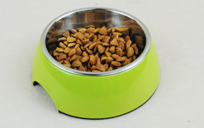 Multi-Color Stainless Steel Pet Bowl for Cats and Dogs
