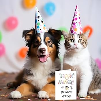 🎉 Grand Opening – Celebrate With Us!