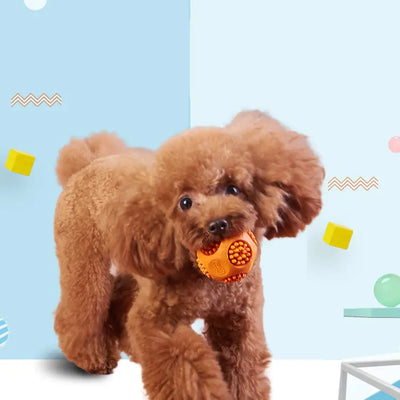 New Pet Toy Ball - Durable Rubber Chew with Whistle