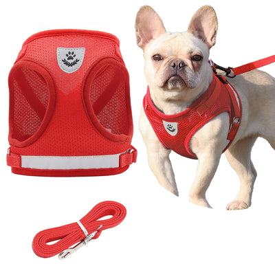 Petbuy Step in Dog Harness and Leash SetReflective Adjustable Soft Mesh Breathable Pet Vest Dog Harnesses Set No Chock No Pull Padded Puppy Harnesses for Small Dogs and Cats (Red X-Small)