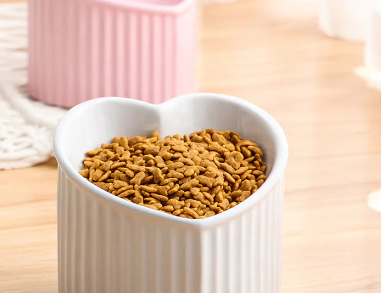 Practical Durable Ceramic Pet Bowl with Inclined Mouth